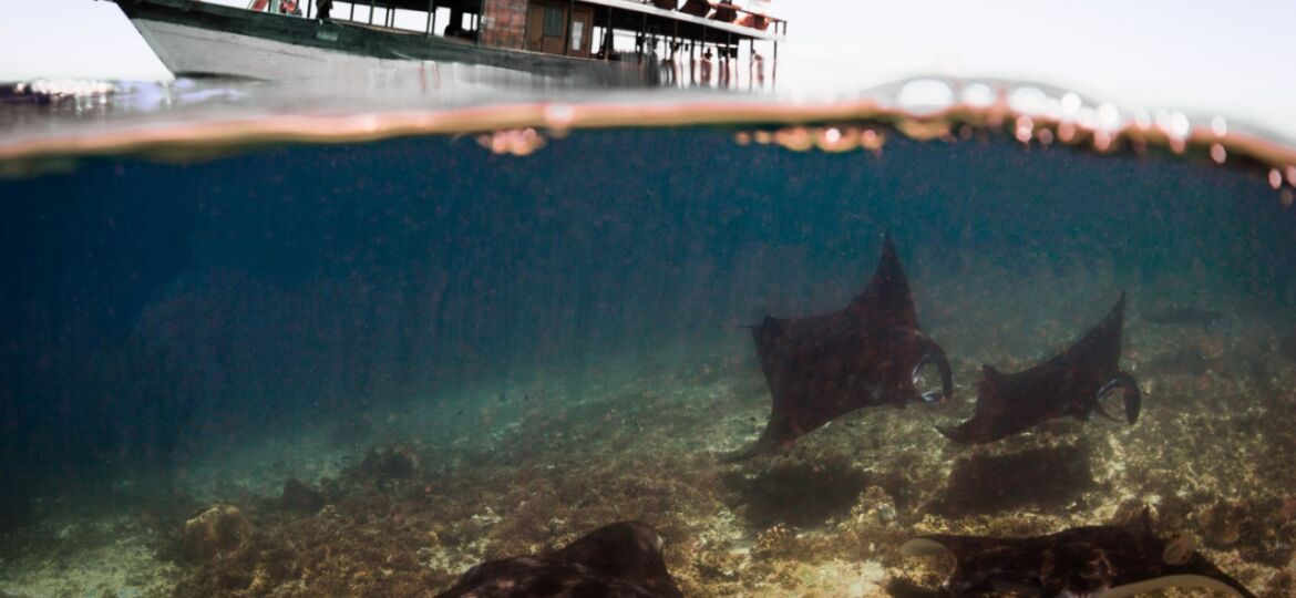 WhatsApp Image 2020-07-29 at 19.17.03