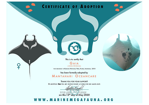 20200512-INKNP0963A-Gaia_page-0001