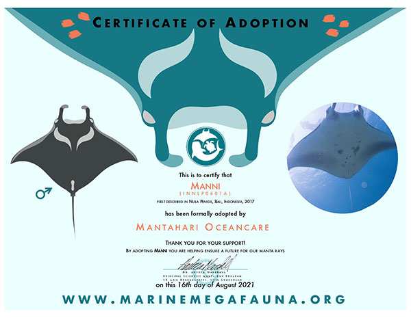 20210816-INNLP0601A-Manni_page-0001