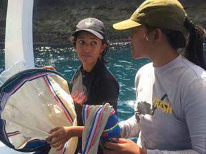 MMF Research Mantahari