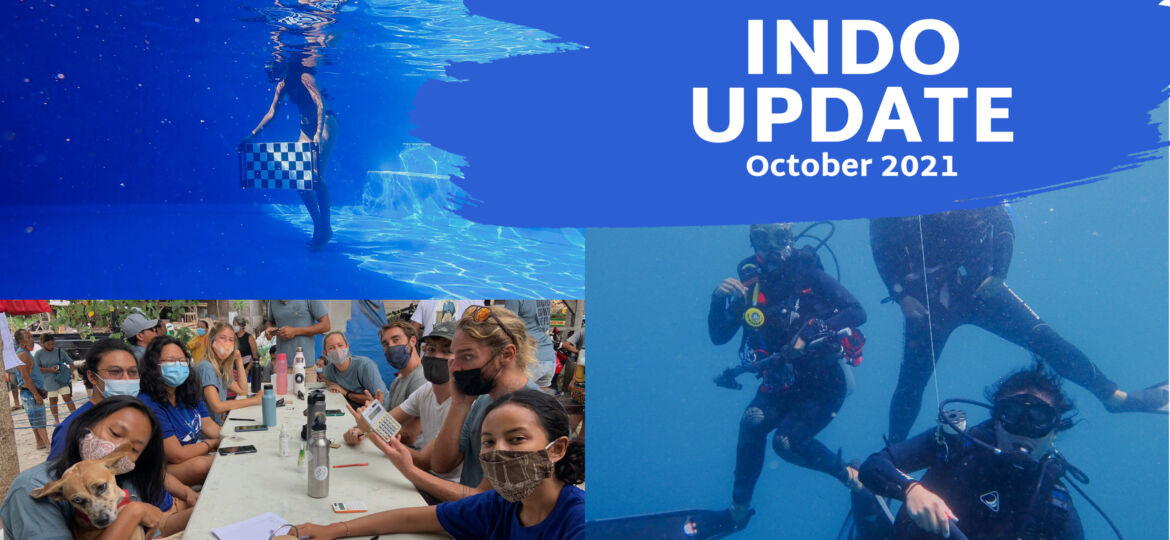 Indo Update October