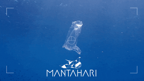 Mantahari Shop Giphy