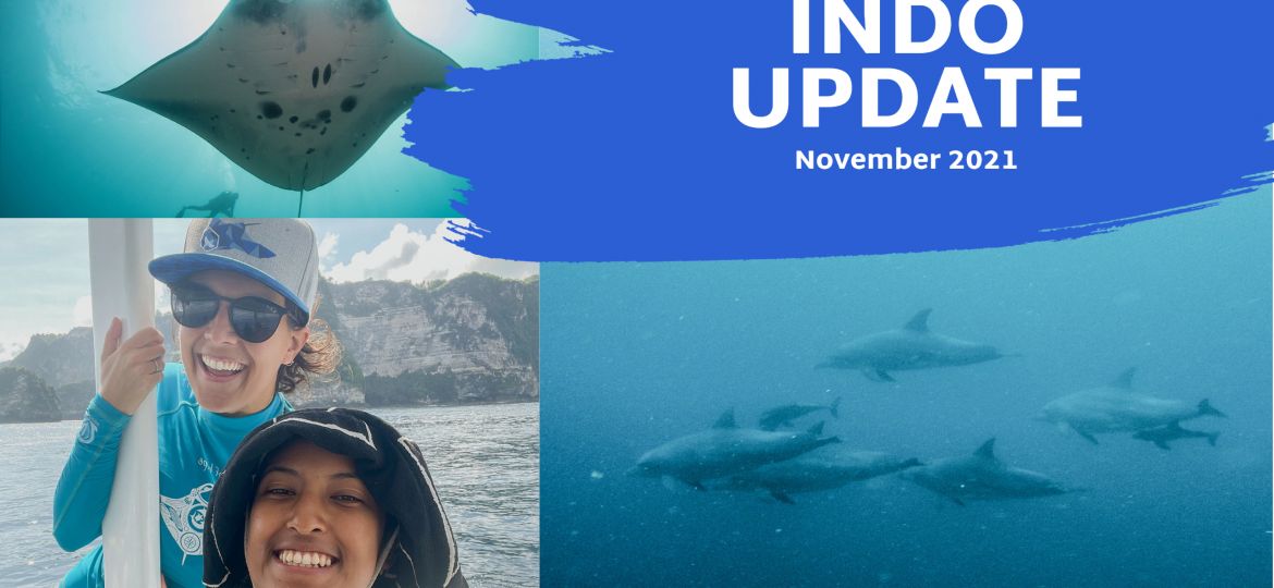 Indo Update 3