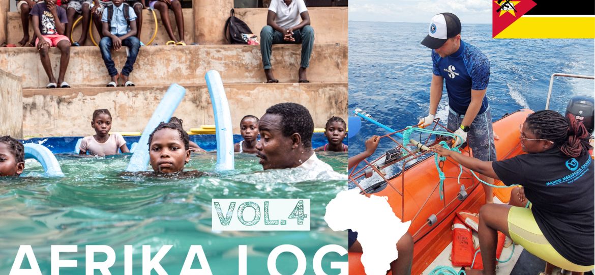 Afrika Log Morrungulo