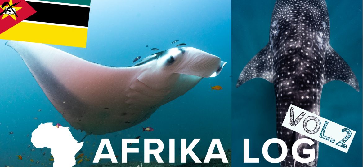 Afrika Log Mosambik 2
