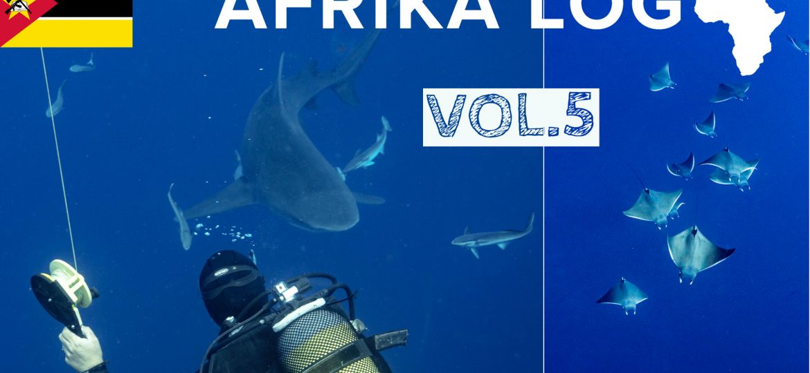 Afrika Log 5